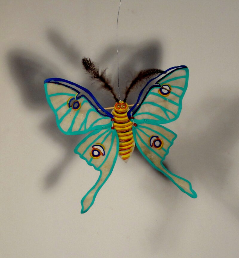 Shadow Moth 2015